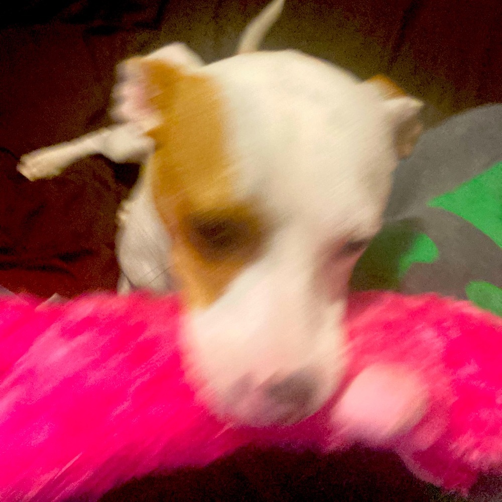 Meet your Posher, Olivia